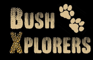 Bush Xplorers logo