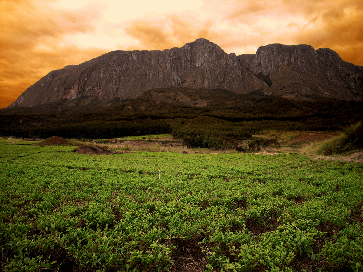 Mount Mulanje.jpg 1