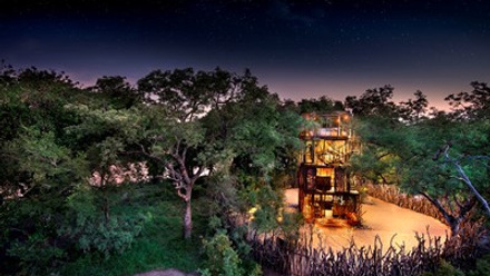 Ngala_treehouse_029.jpg