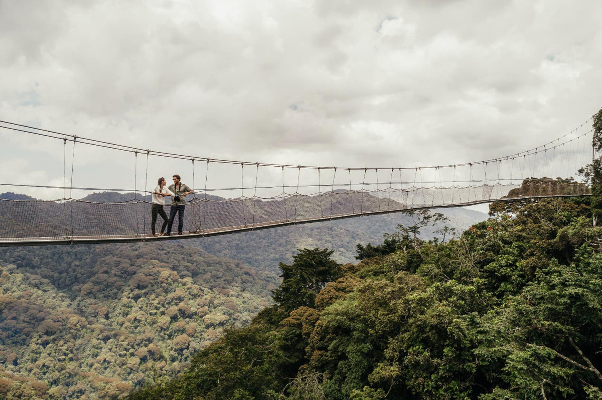 Nyungwe National Park.jpg 1