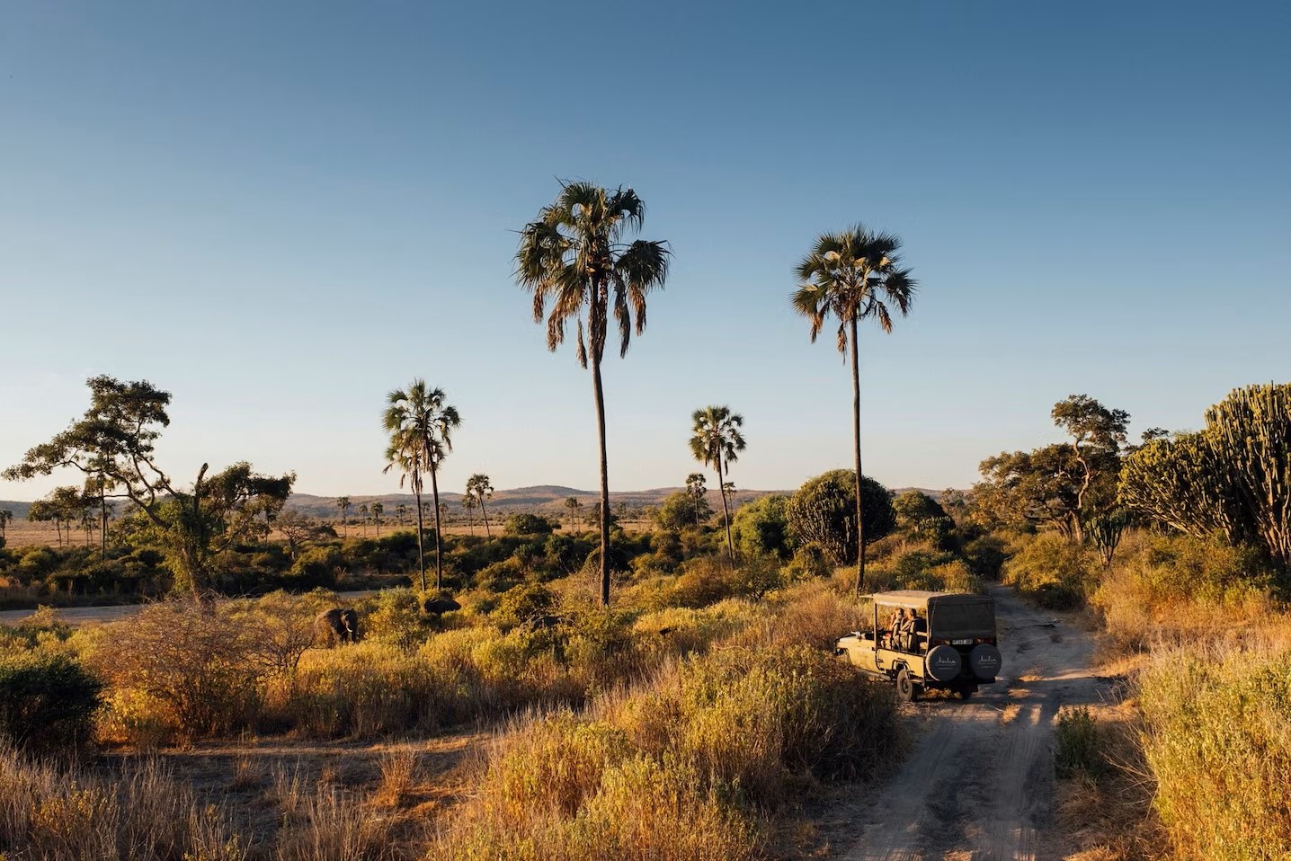 Ruaha National Park.jpeg