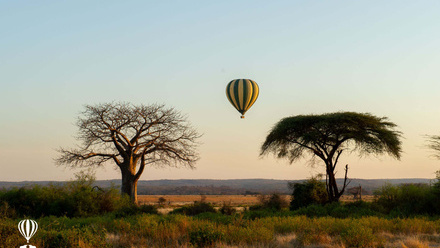 Serengeti+Balloon+Safaris+Tarangire+2024.jpg