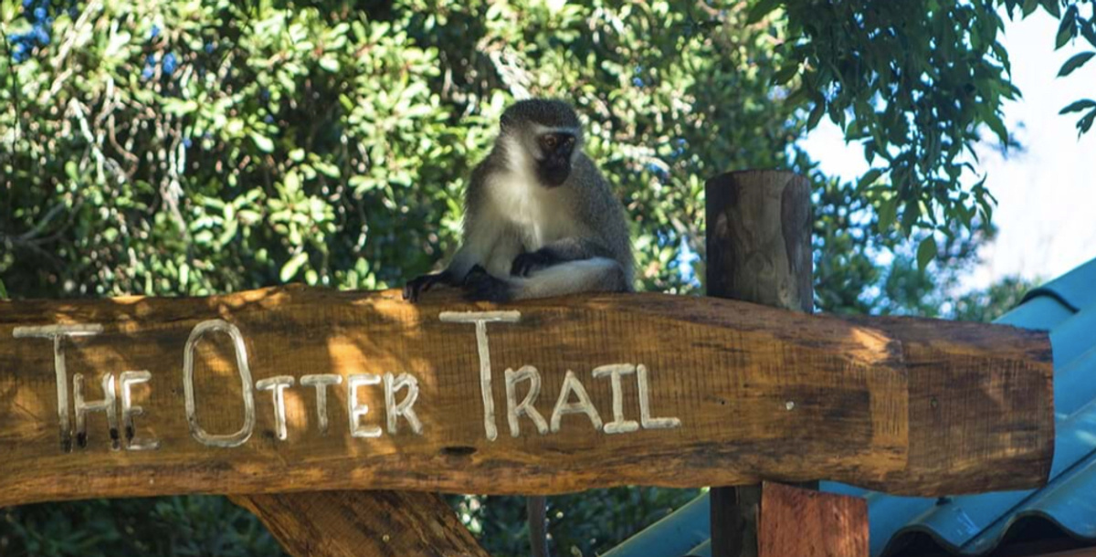 Tsitsikamma Nature Reserve.jpg 1