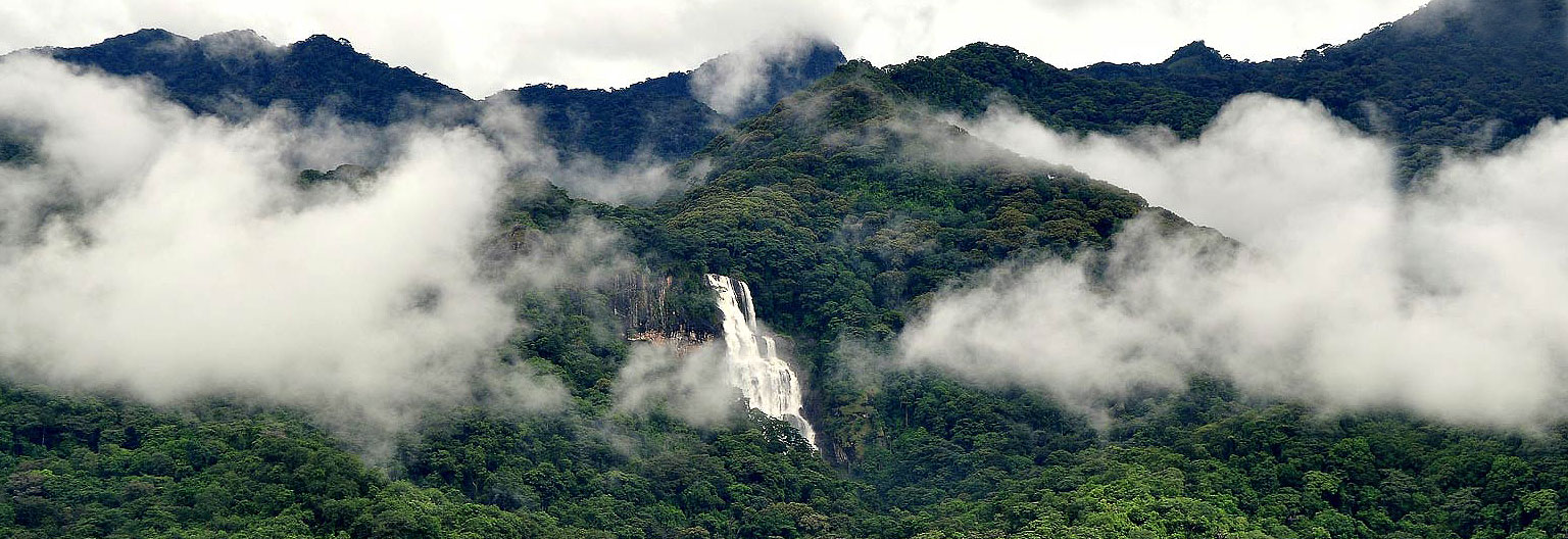 Udzungwa National Park.jpeg 1