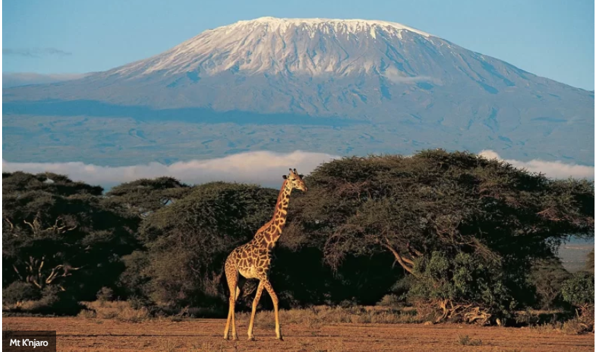 Mt Kili.png