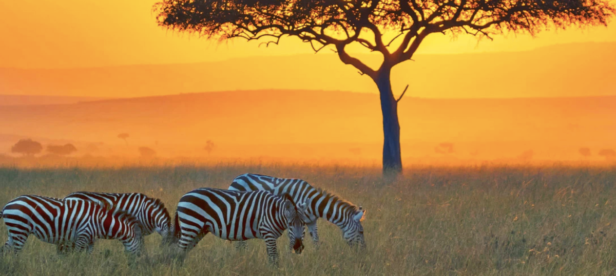 Samburu National Reserve.png 1